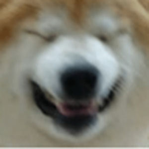 Meet your Posher, Alice